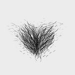 Pubic Hair #2 [+$30.00]